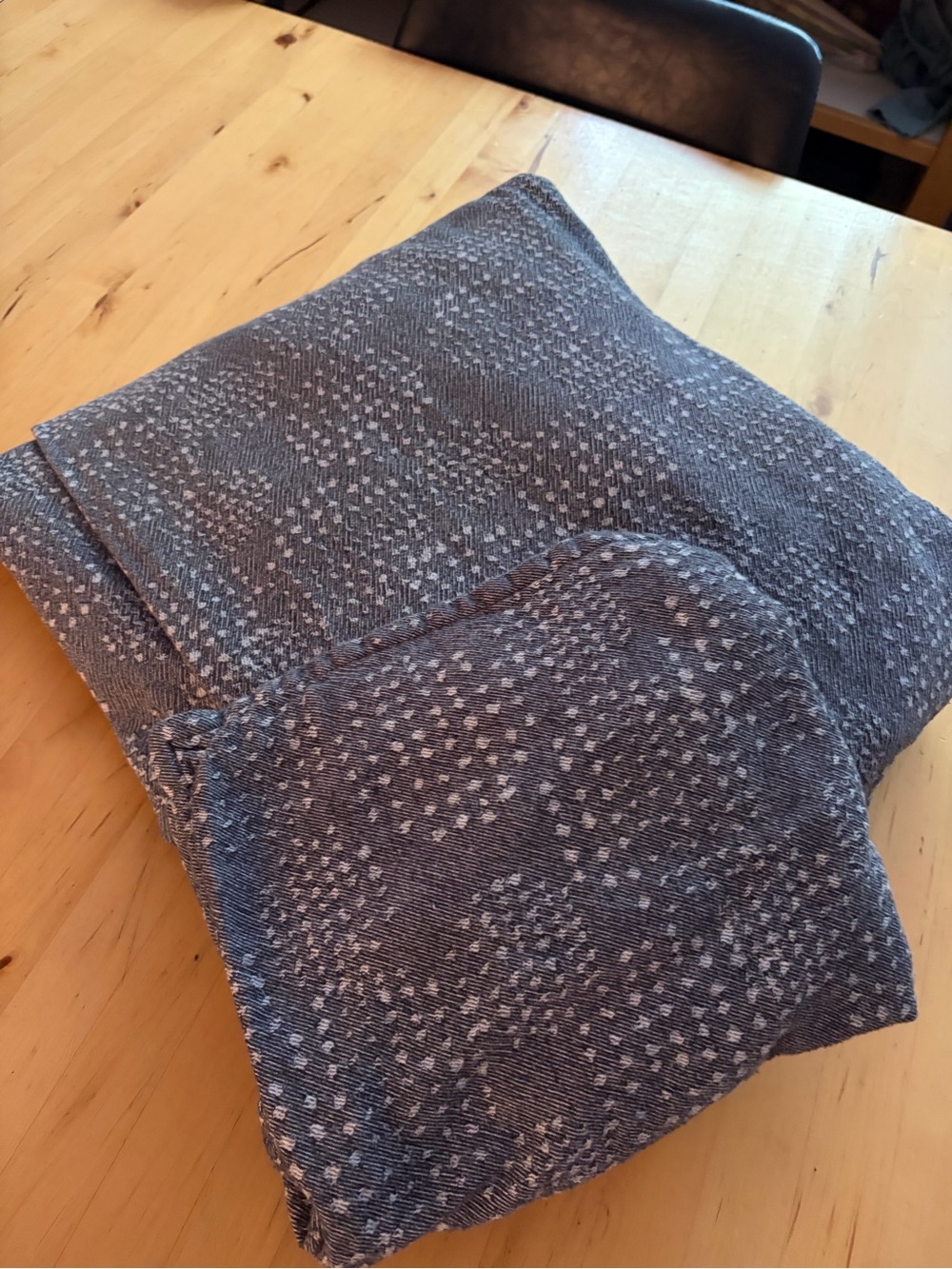 West Elm Twin Duvet + 1 matching sham